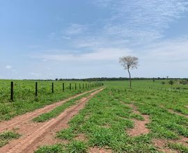 fazenda-parecis-imagem