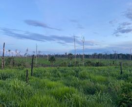 fazenda-rondolandia-imagem