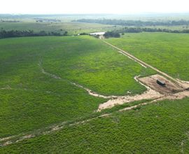 fazenda-alvorada-doeste-imagem