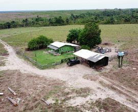 fazenda-chupinguaia-imagem