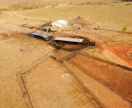 fazenda-pimenta-bueno-imagem