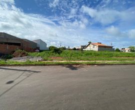 terreno-cacoal-imagem