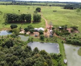 sitio-cacoal-imagem