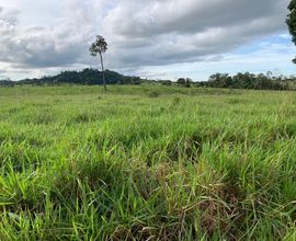 sitio-cacoal-imagem