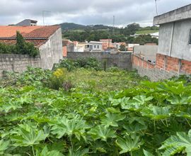 terreno-biritiba-mirim-imagem