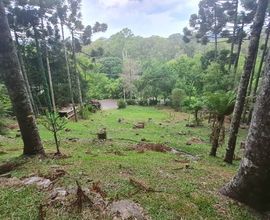 terreno-gramado-imagem