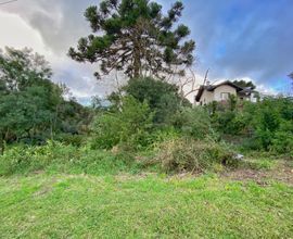 terreno-gramado-imagem