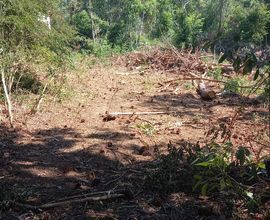 terreno-itaara-imagem