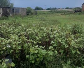 terreno-capao-do-leao-imagem