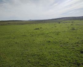 fazenda-rosario-do-sul-imagem