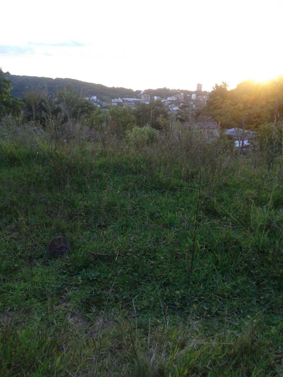 Terreno, 360 m² - Foto 3