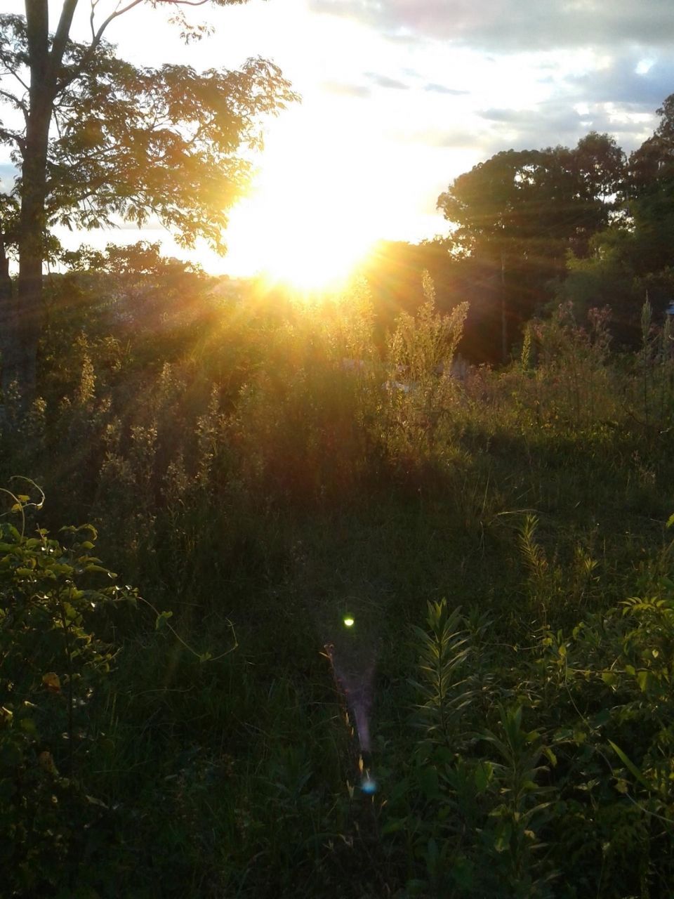 Terreno, 360 m² - Foto 2