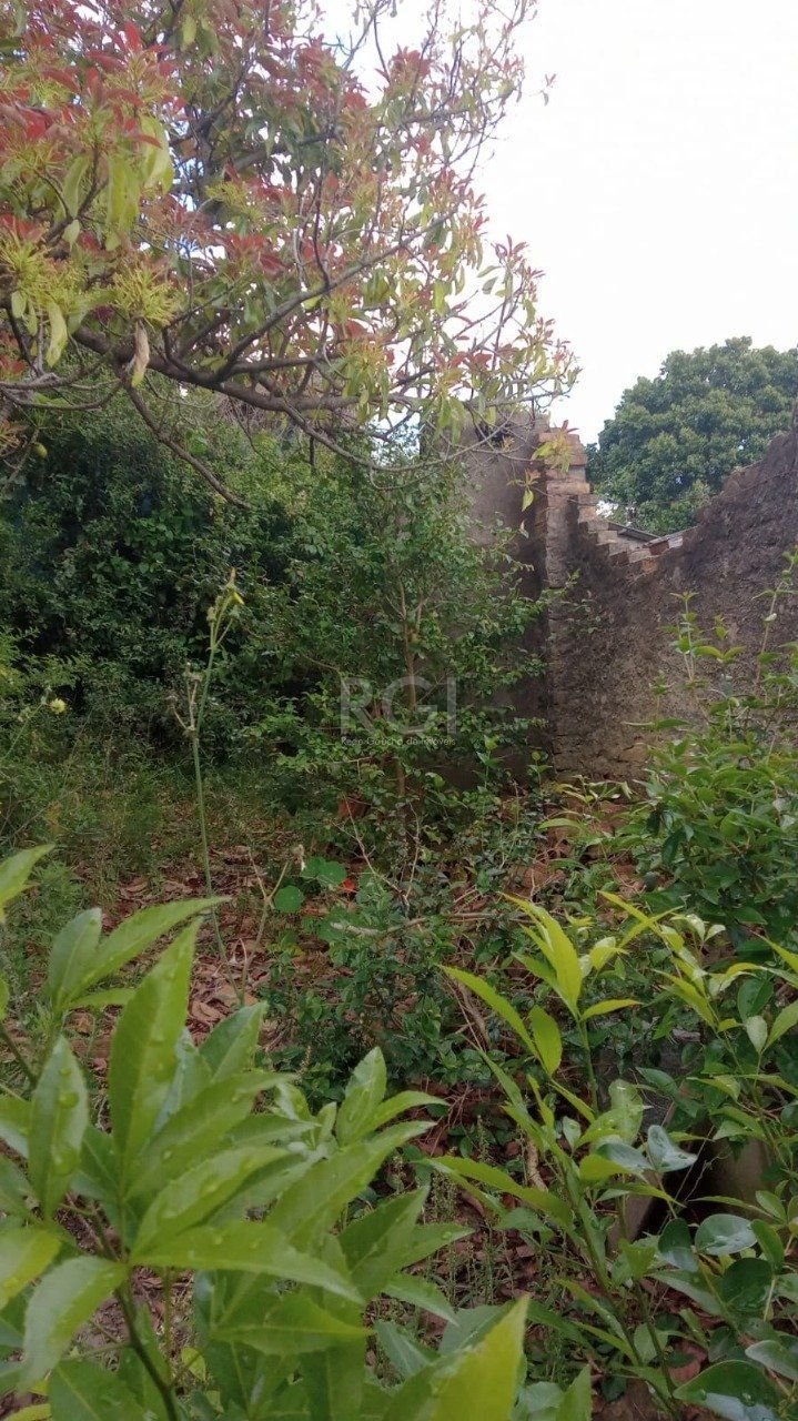 Terreno, 356 m² - Foto 8