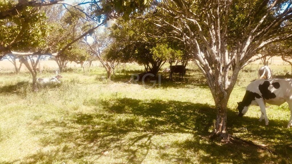 Terreno à venda, 315000m² - Foto 2