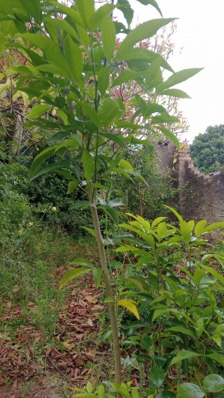 Terreno, 356 m² - Foto 9