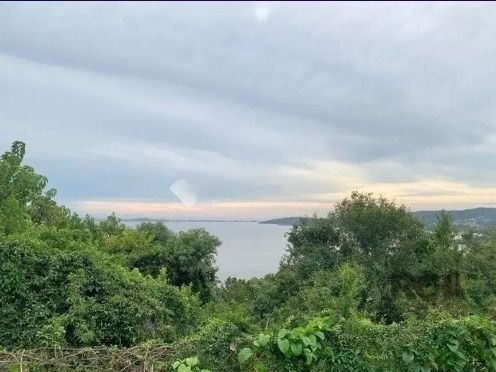 Casa, 4 quartos, 982 m² - Foto 14