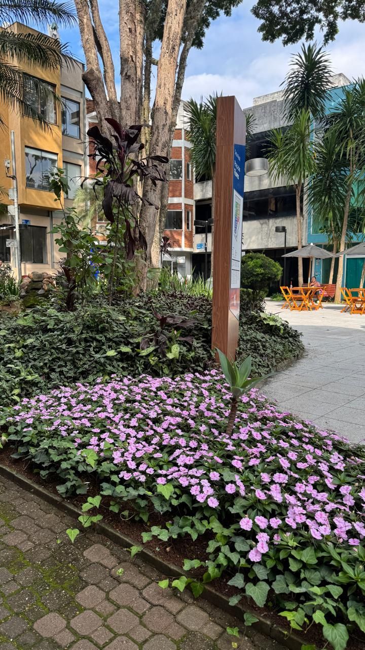 Prédio Inteiro, 100 m² - Foto 36