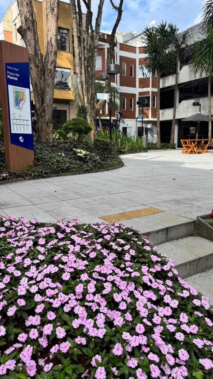 Prédio Inteiro, 100 m² - Foto 34