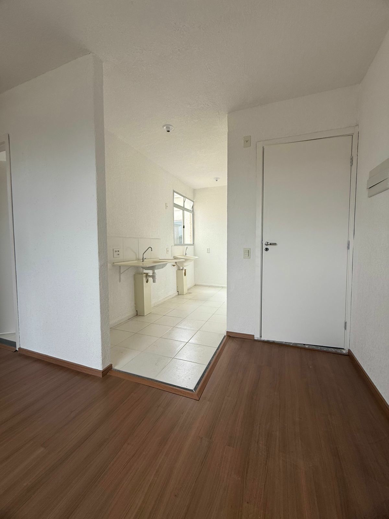 2444964.jpeg