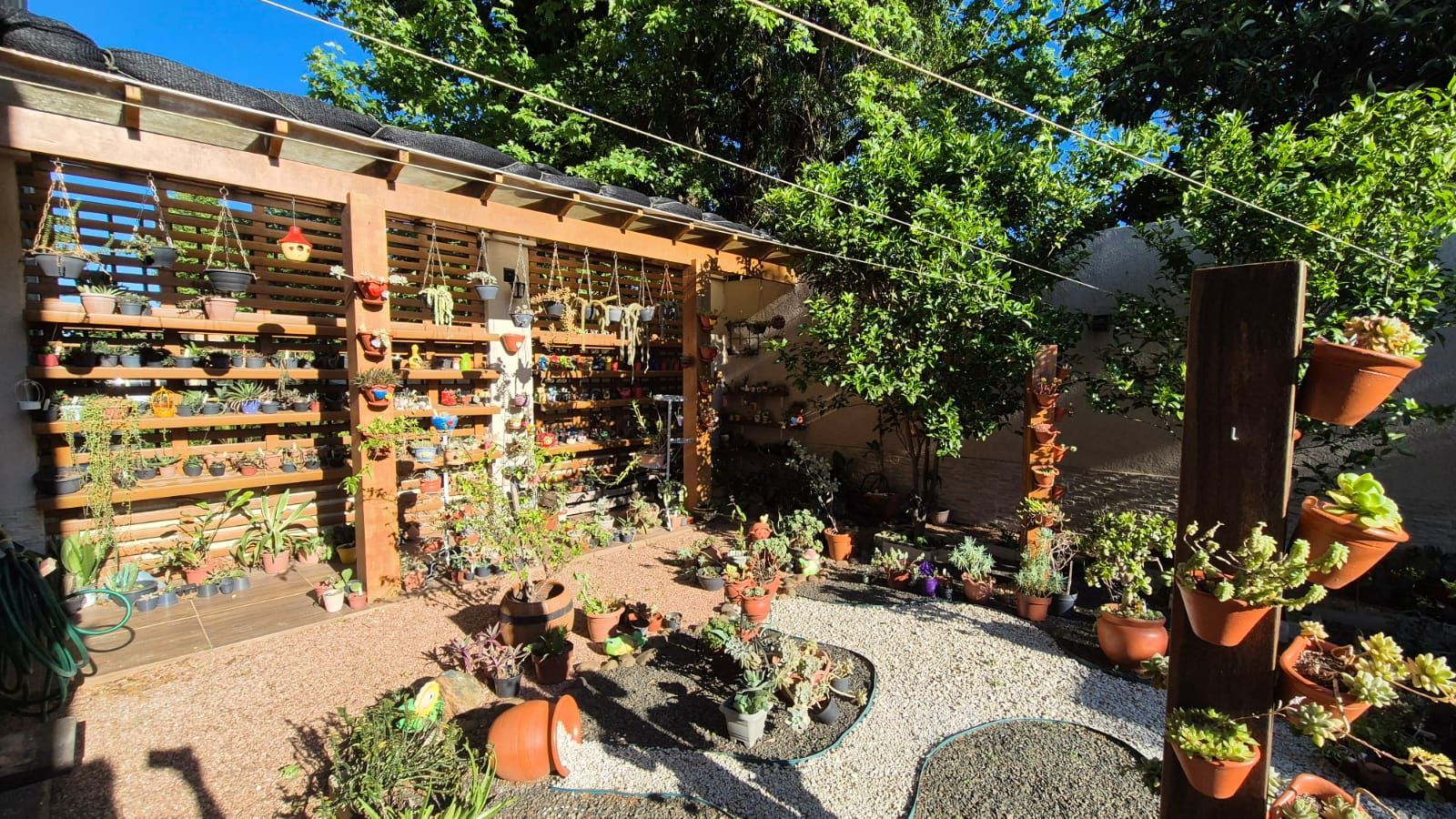 Garden com 3 dormitórios e pátio amplo na Zona Norte