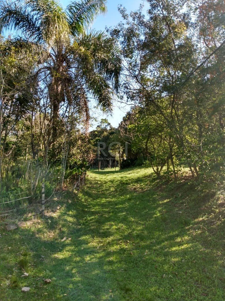 Terreno, 4 hectares - Foto 4