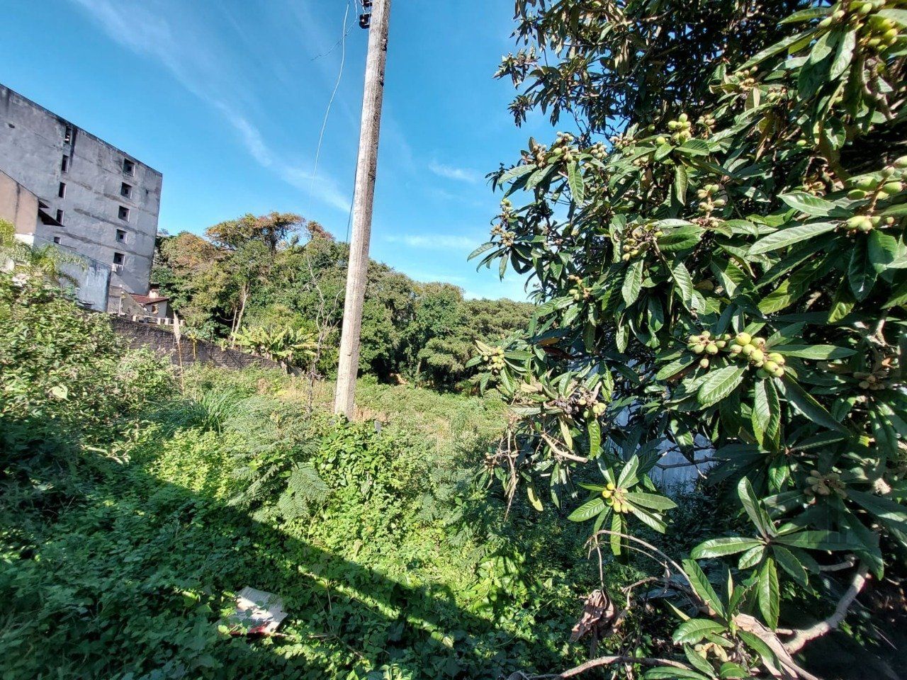 Terreno à venda, 1360m² - Foto 11