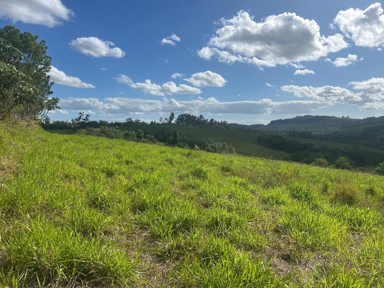 Terreno, 29 hectares - Foto 6