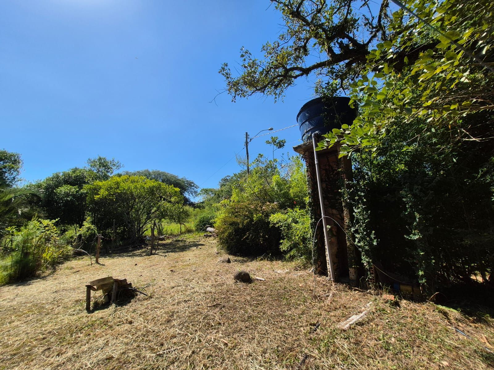 Sítio, 3 quartos, 3000 m² - Foto 35