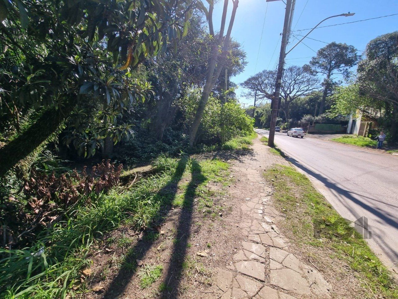 Terreno, 2500 m² - Foto 5