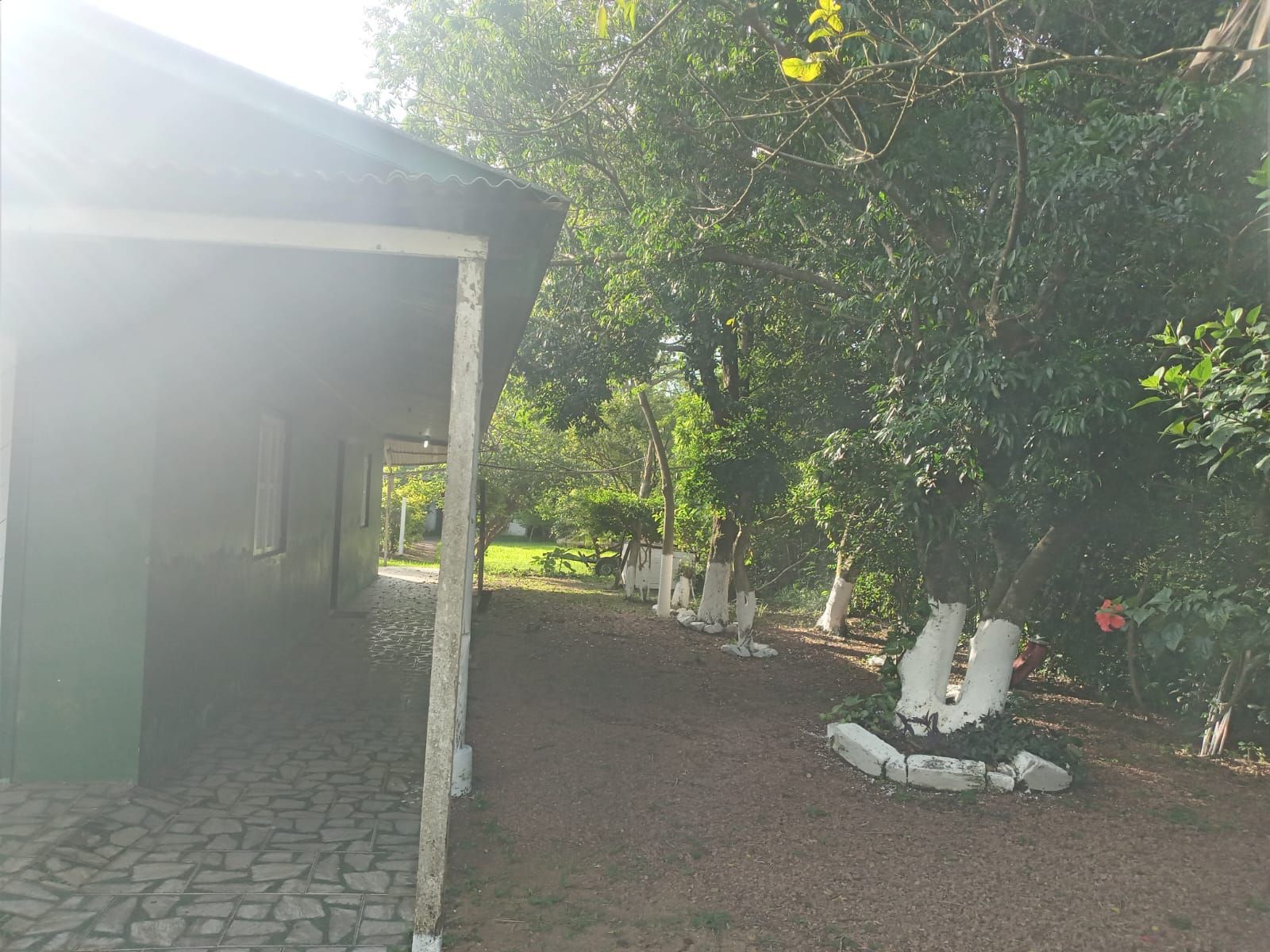 Chácara, 4 quartos, 1000 m² - Foto 51