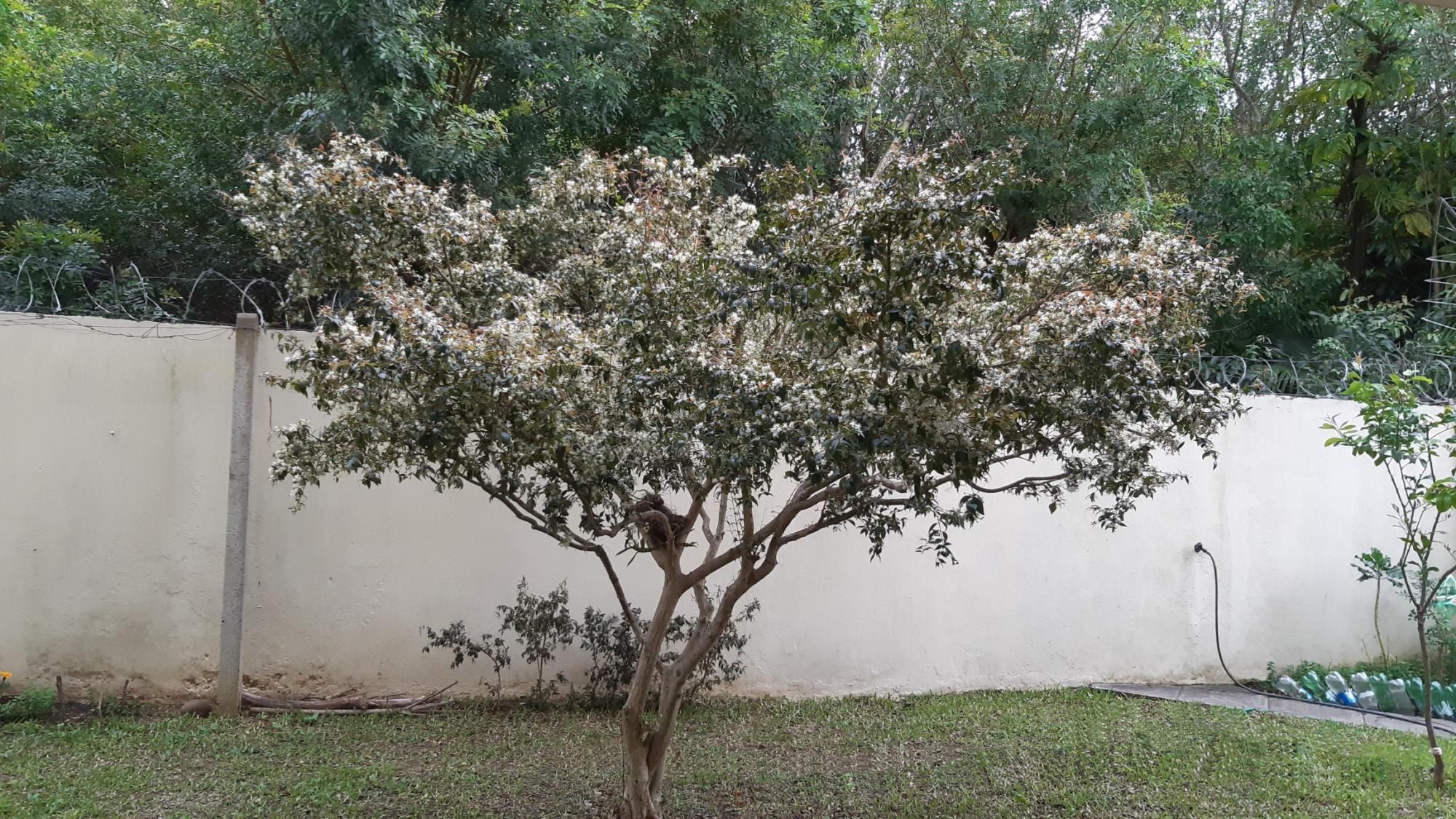 Apartamento, 3 quartos, 100 m² - Foto 57