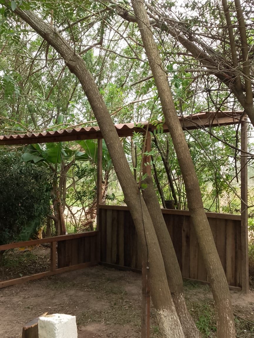 Chácara, 4 quartos, 1000 m² - Foto 20