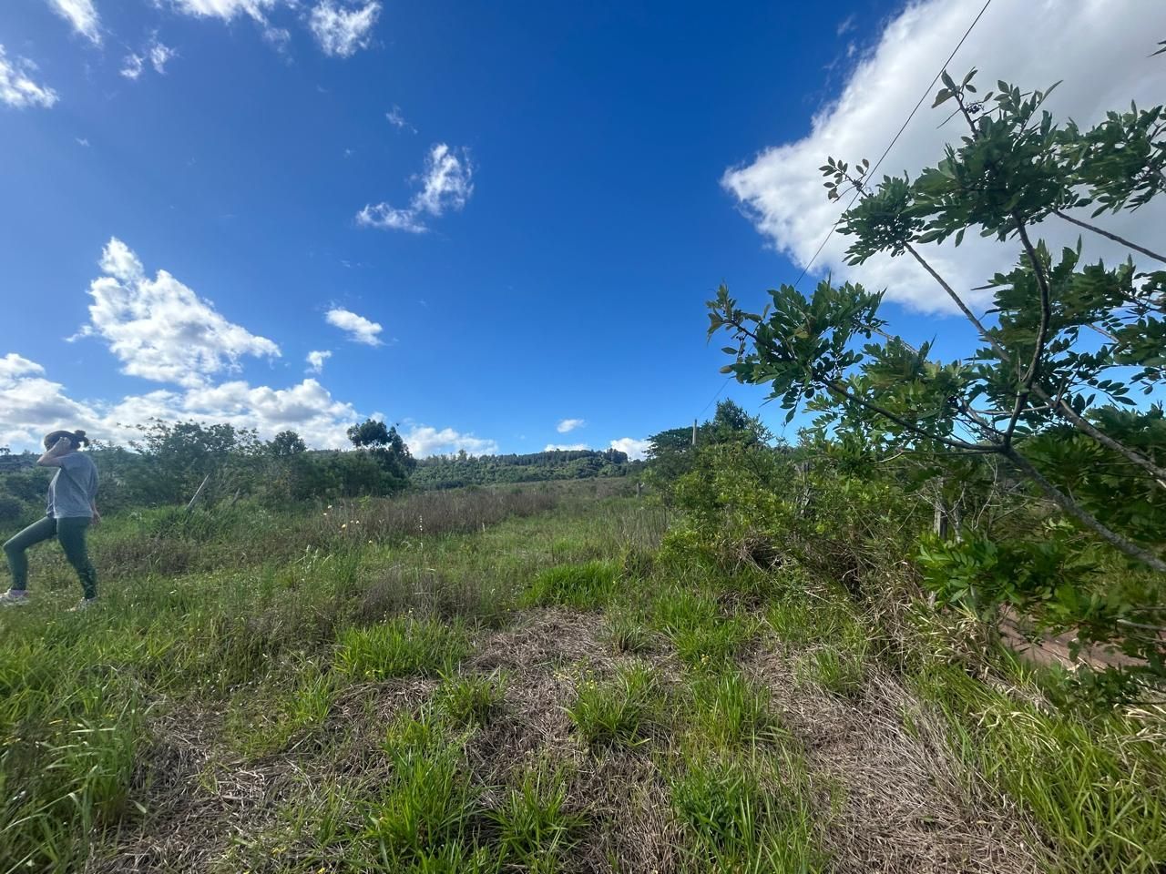 Terreno, 29 hectares - Foto 15