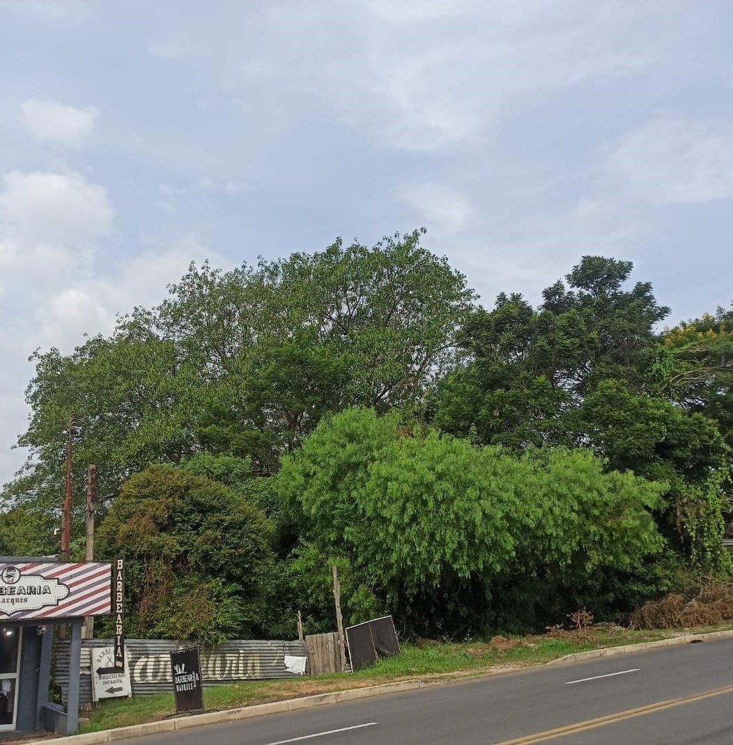 Terreno, 500 m² - Foto 4