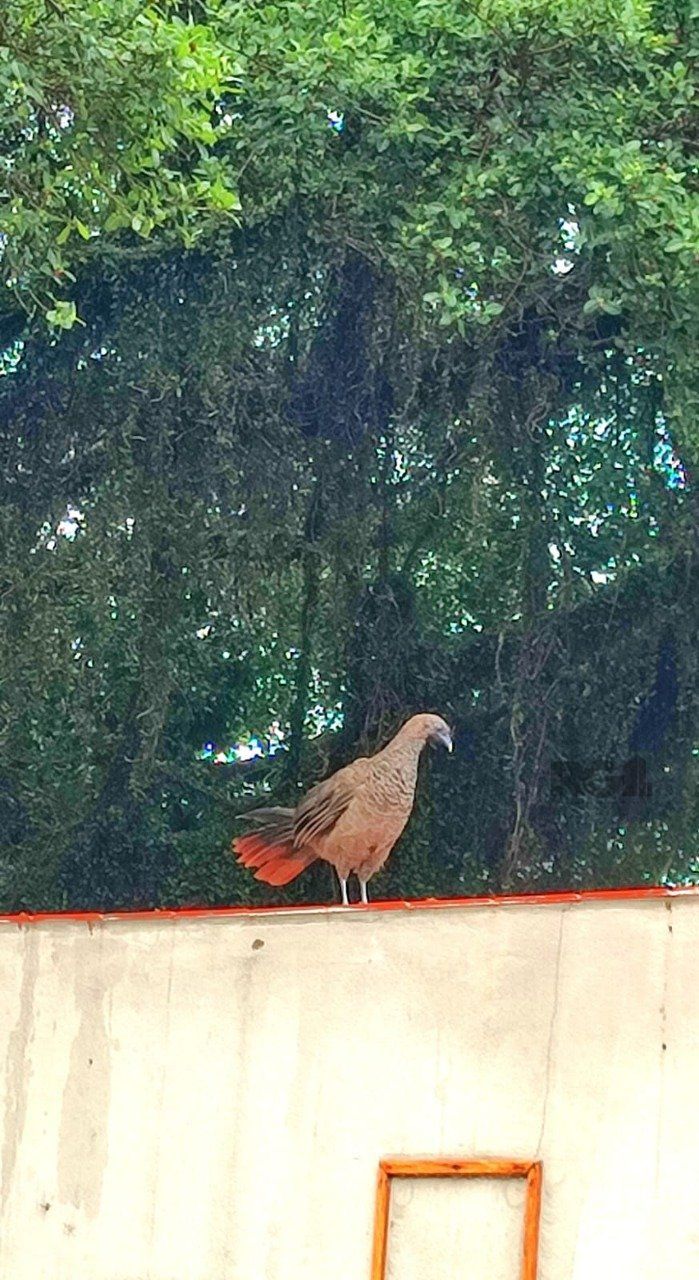 Casa, 2 quartos, 155 m² - Foto 17