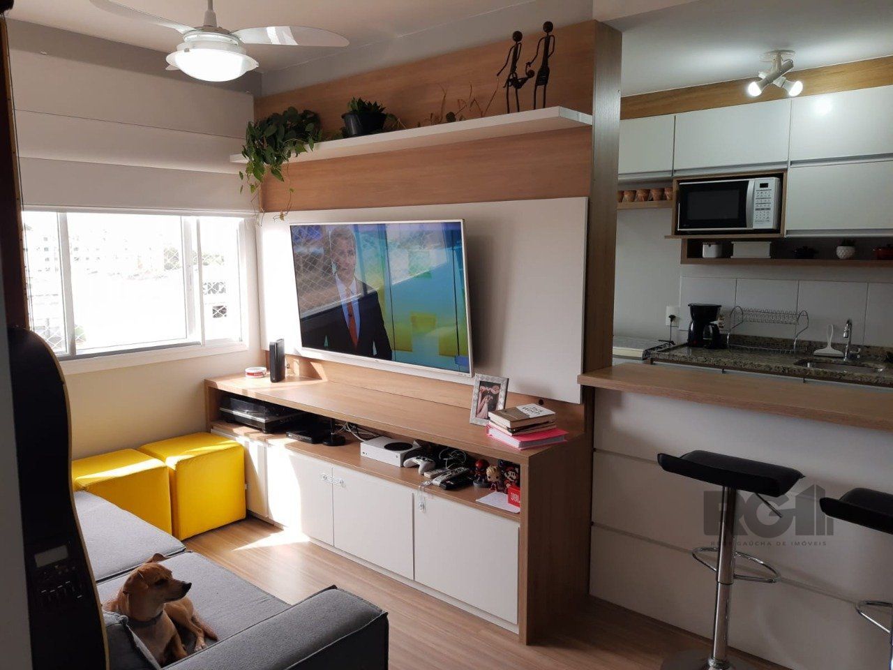 Apartamento à venda com 2 quartos, 52m² - Foto 23