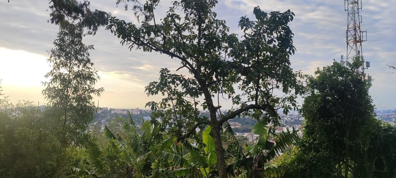 Terreno, à venda, Nonoai - Porto Alegre — foto 5
