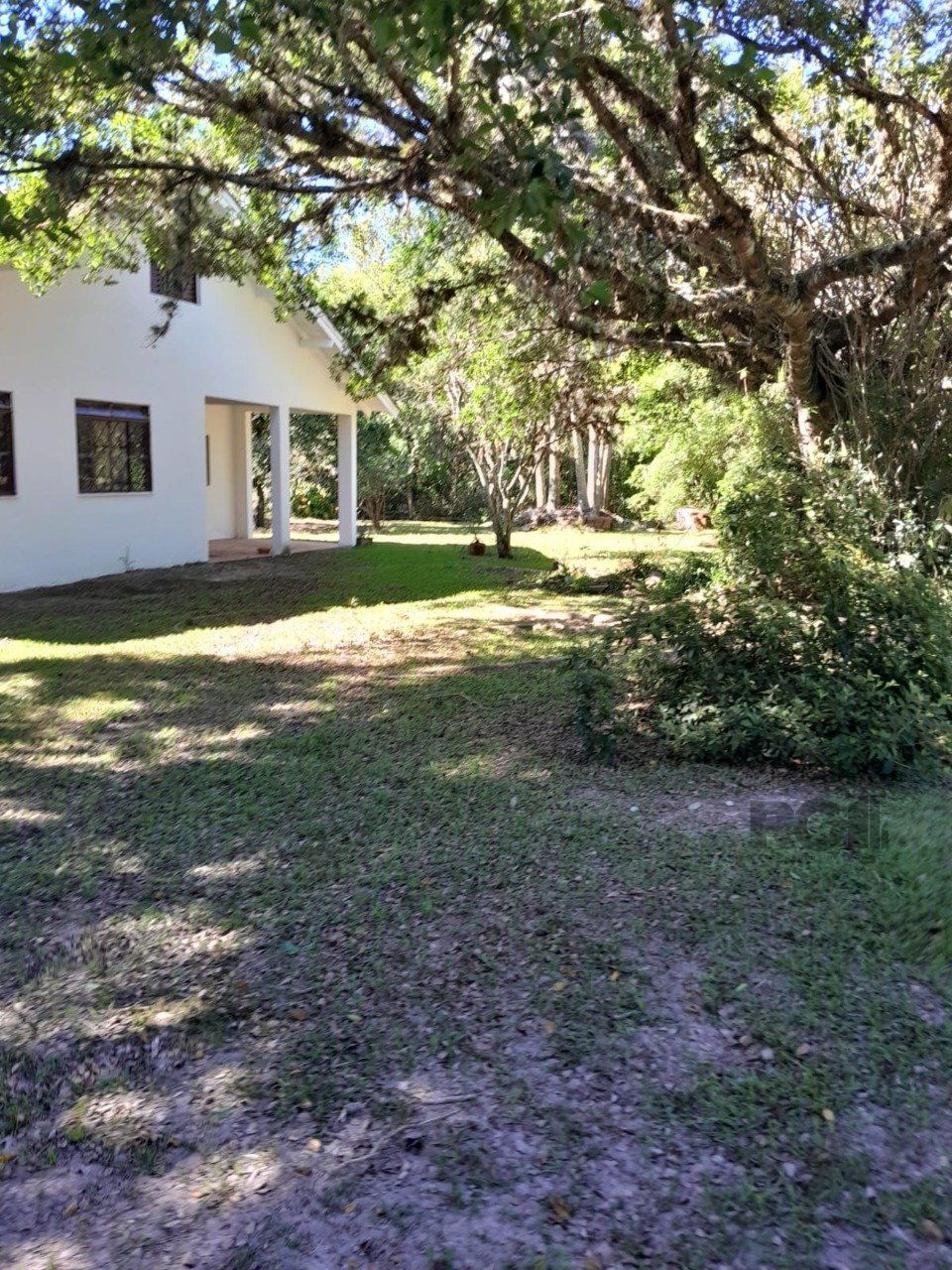 Sítio, 3 quartos, 6 hectares - Foto 6