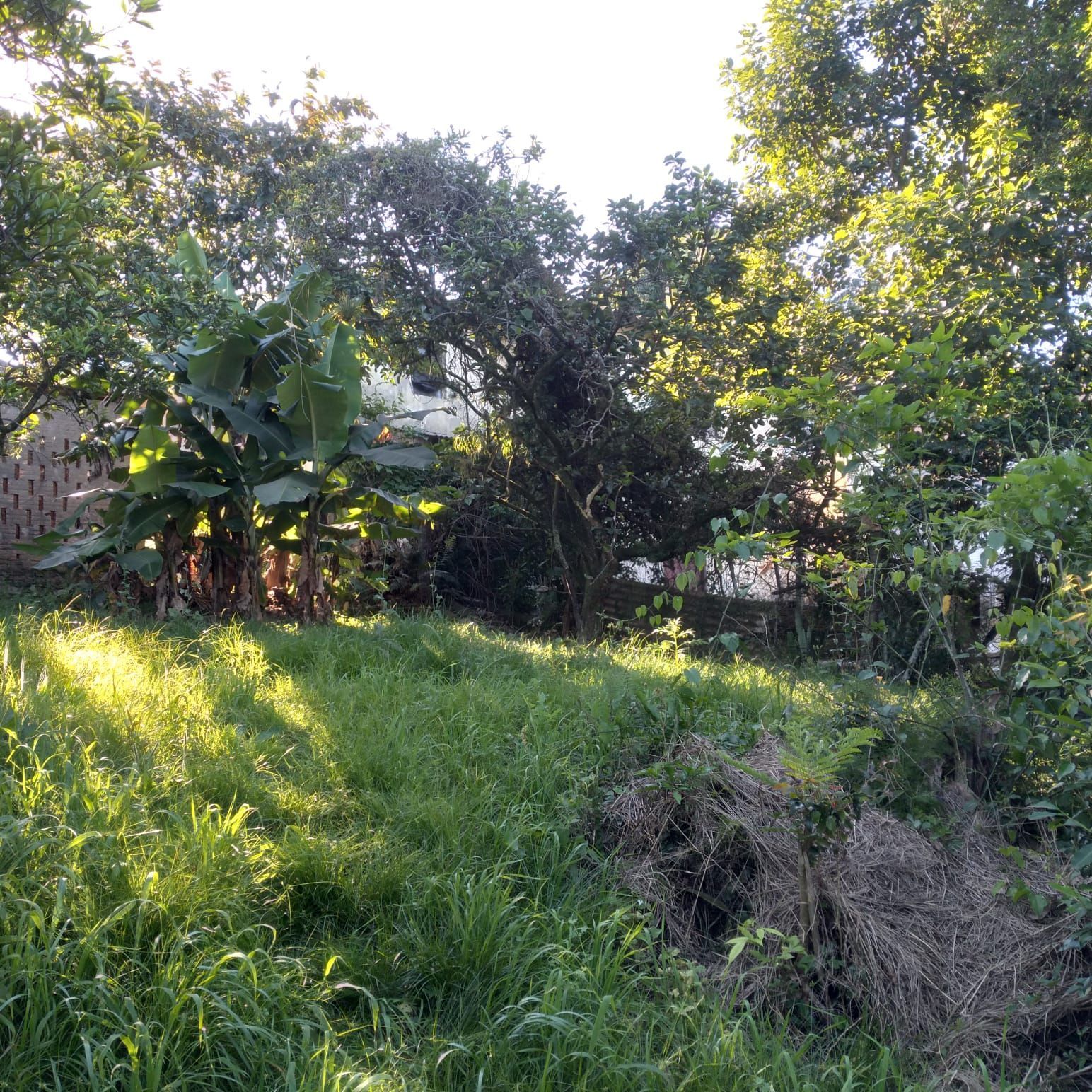 Terreno à venda, 825m² - Foto 8