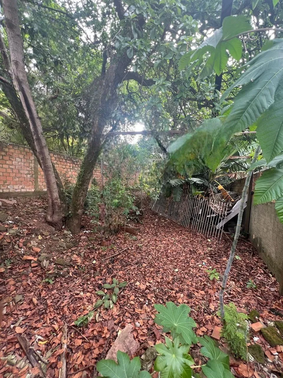 Terreno, 360 m² - Foto 18