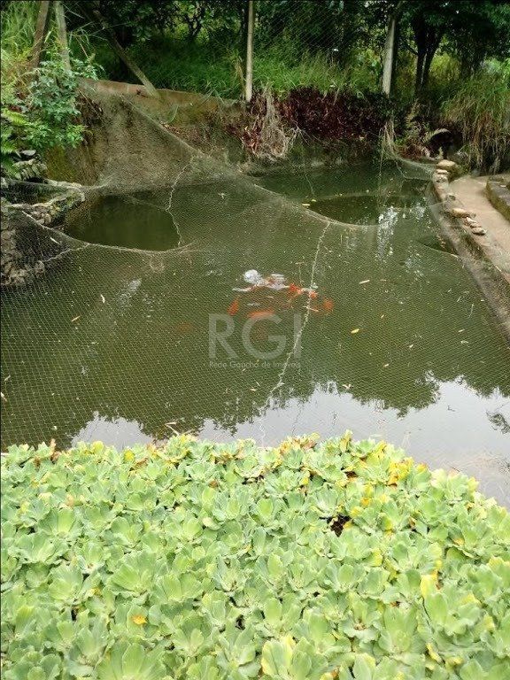 Sítio à venda com 3 quartos, 300m² - Foto 6