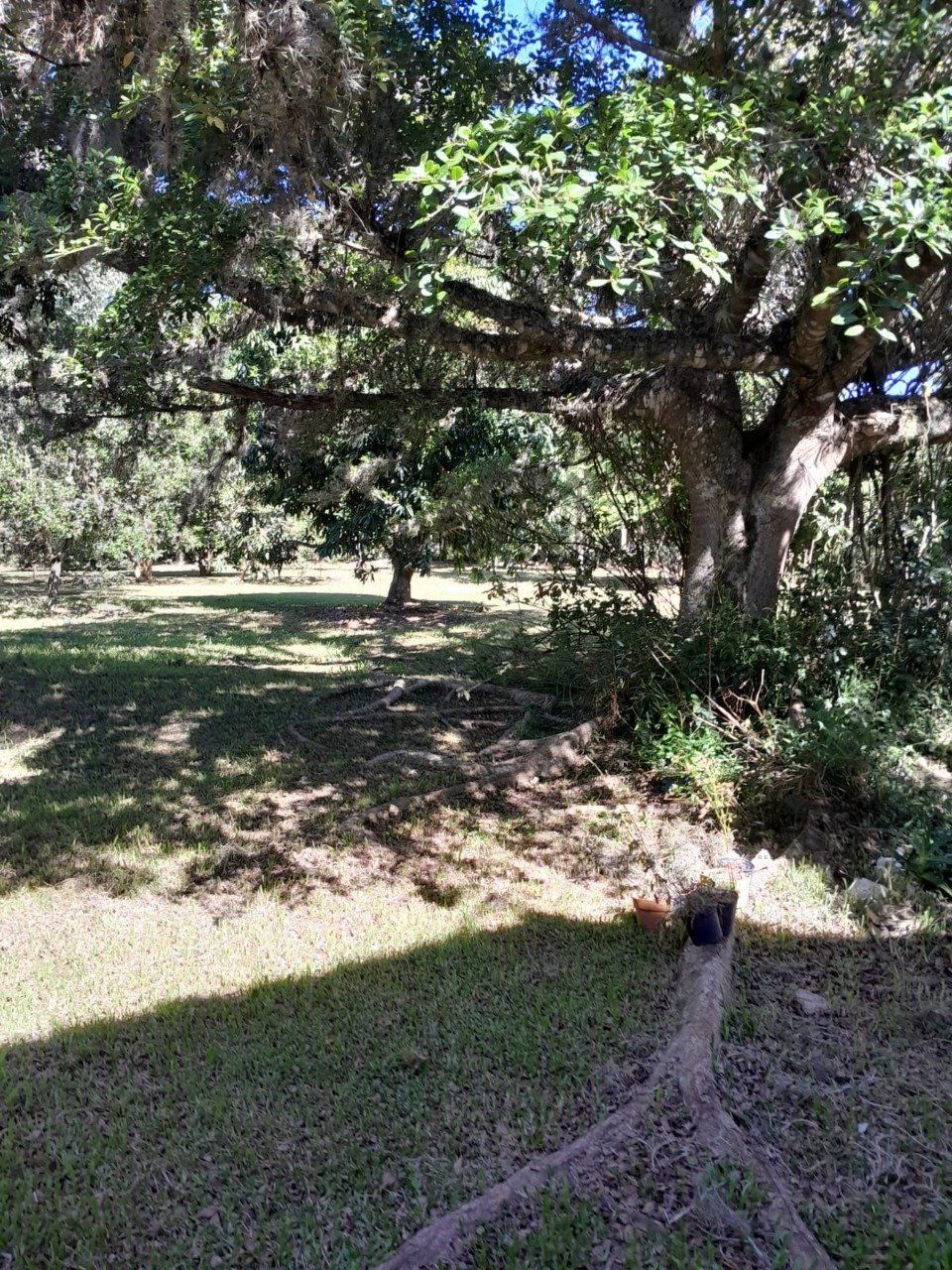 Sítio, 3 quartos, 6 hectares - Foto 24