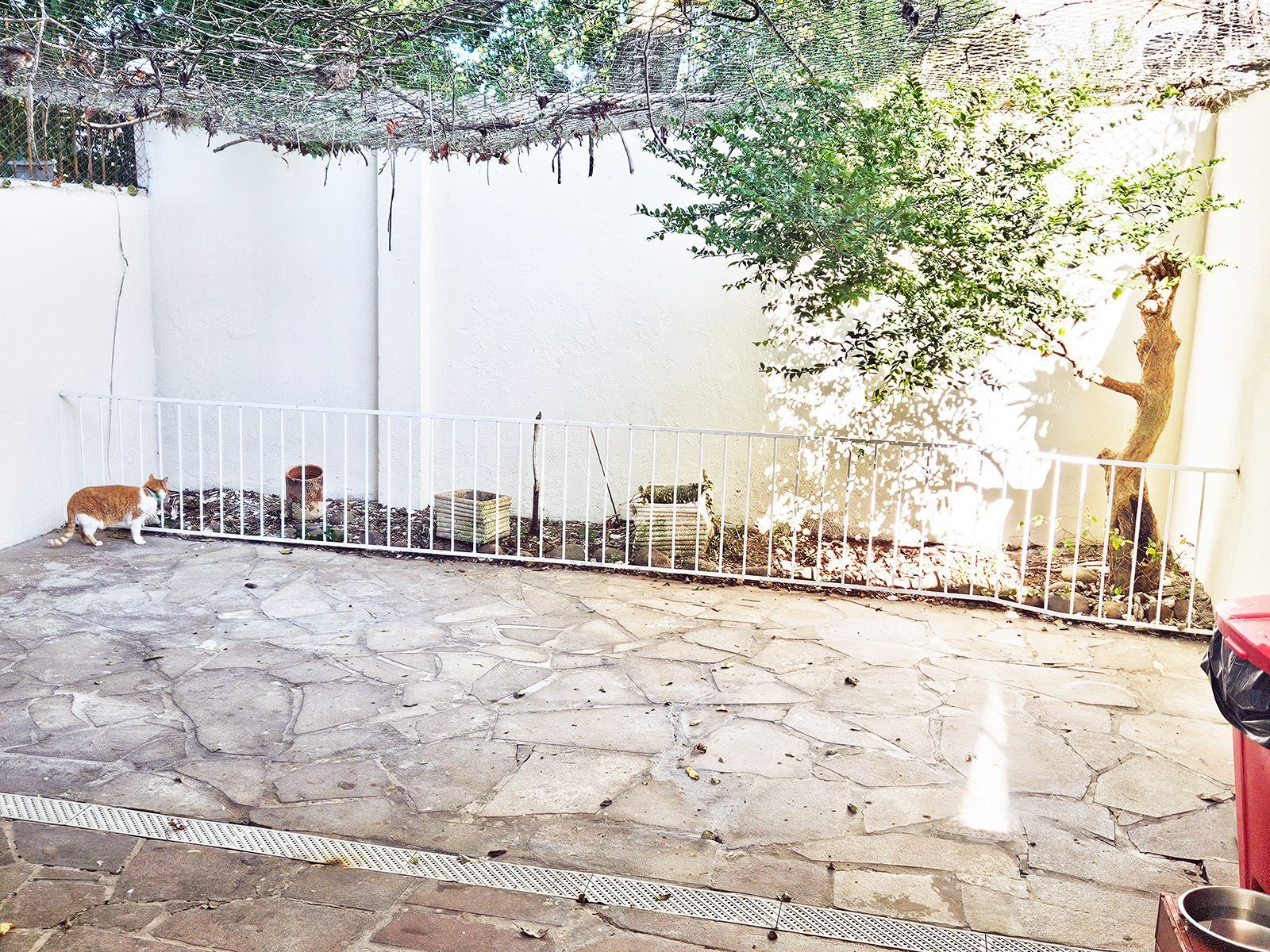 Casa, 4 quartos, 233 m² - Foto 20