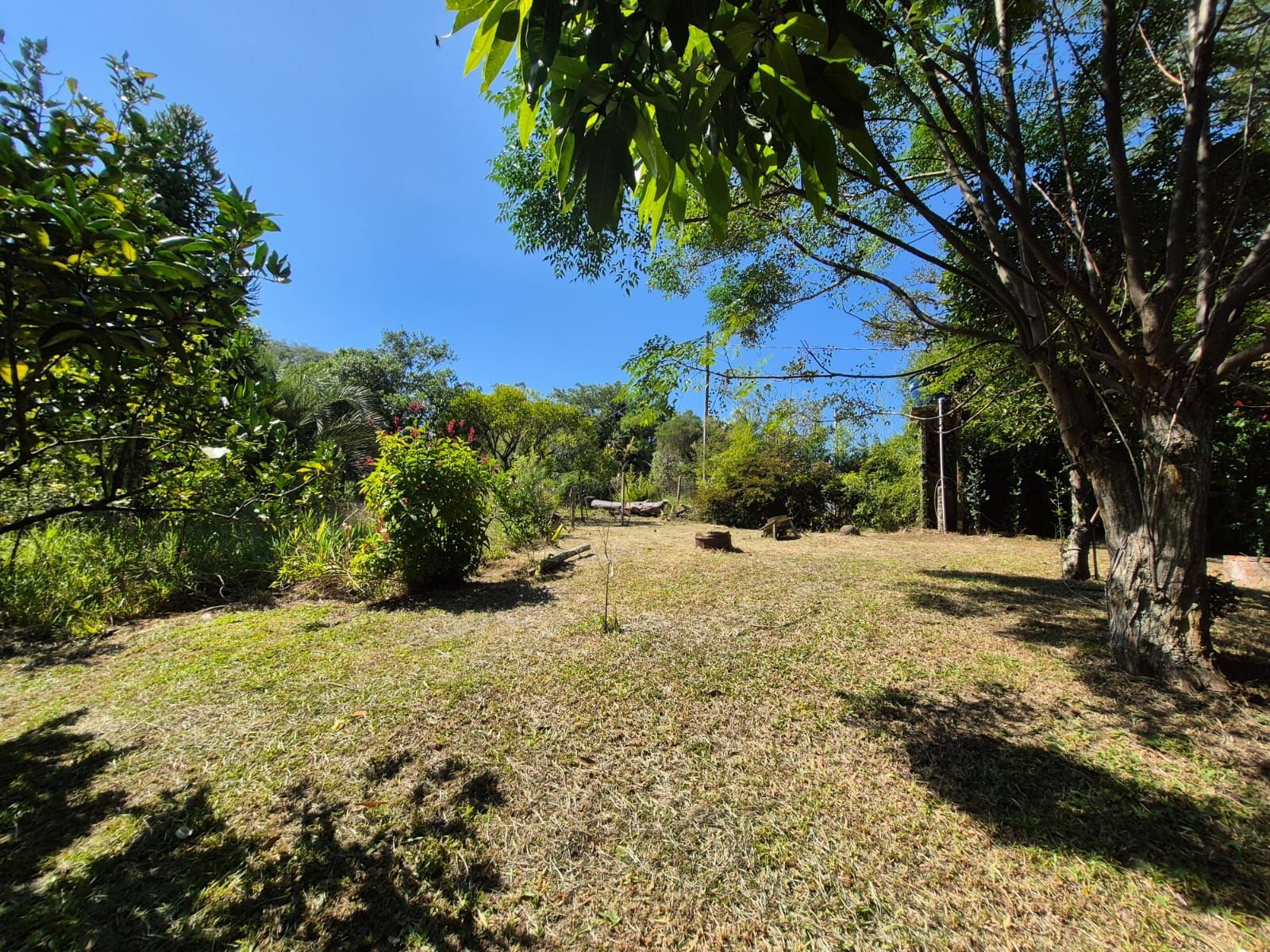 Sítio, 3 quartos, 3000 m² - Foto 36