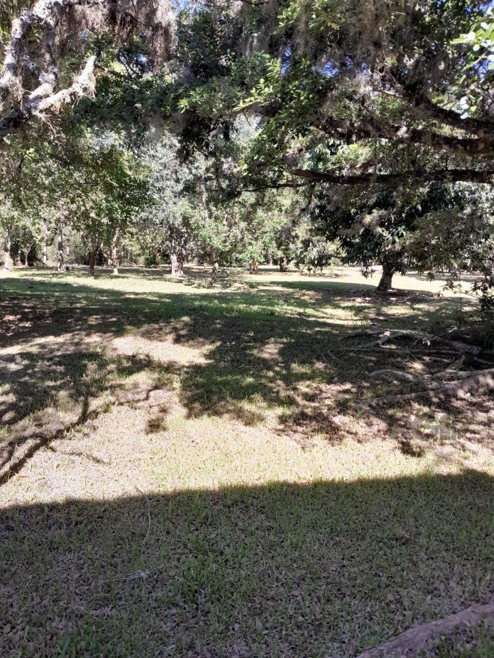 Sítio, 3 quartos, 6 hectares - Foto 25