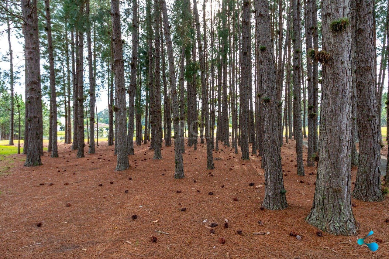 Terreno à venda, 1000m² - Foto 59