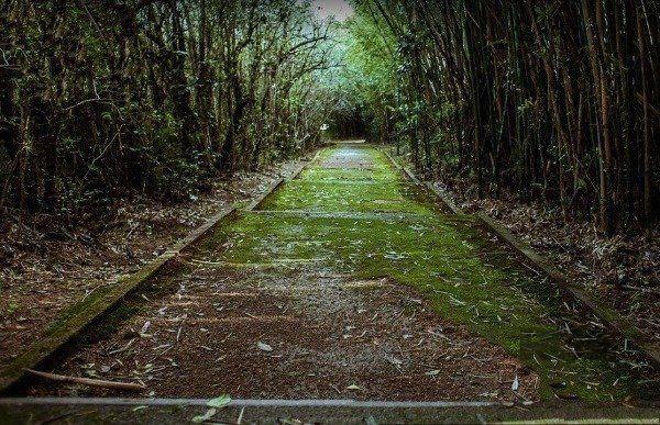 Terreno, 200 m² - Foto 10