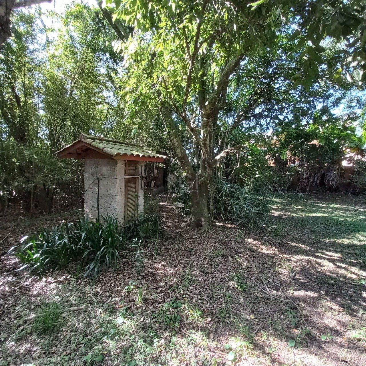 Terreno, 520 m² - Foto 6