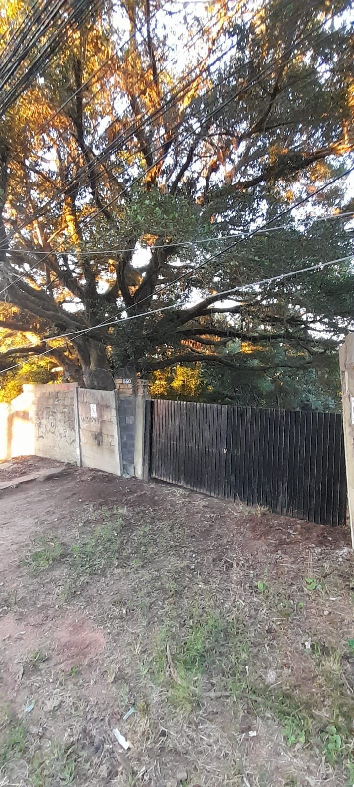 Terreno, à venda, Nonoai - Porto Alegre — foto 5