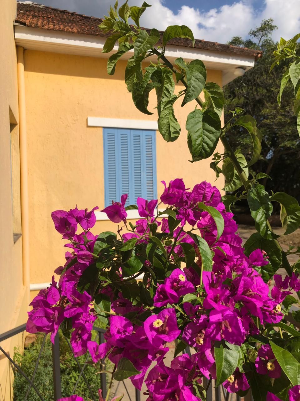 Casa à venda com 3 quartos, 240m² - Foto 19